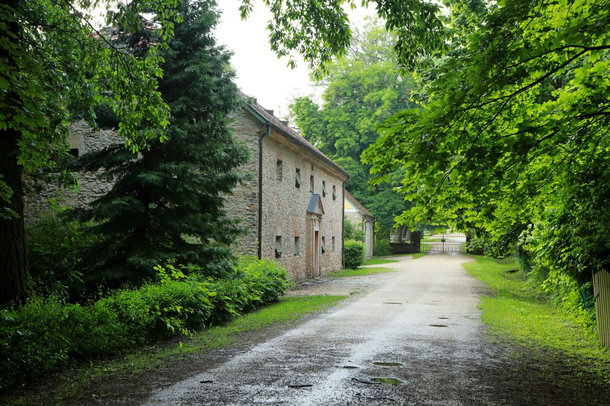 A szépalmai úton és a kapubejáratnál ma is ott honol a csend–  talán itt várta vissza tragikusan elhunyt fiát a gróf