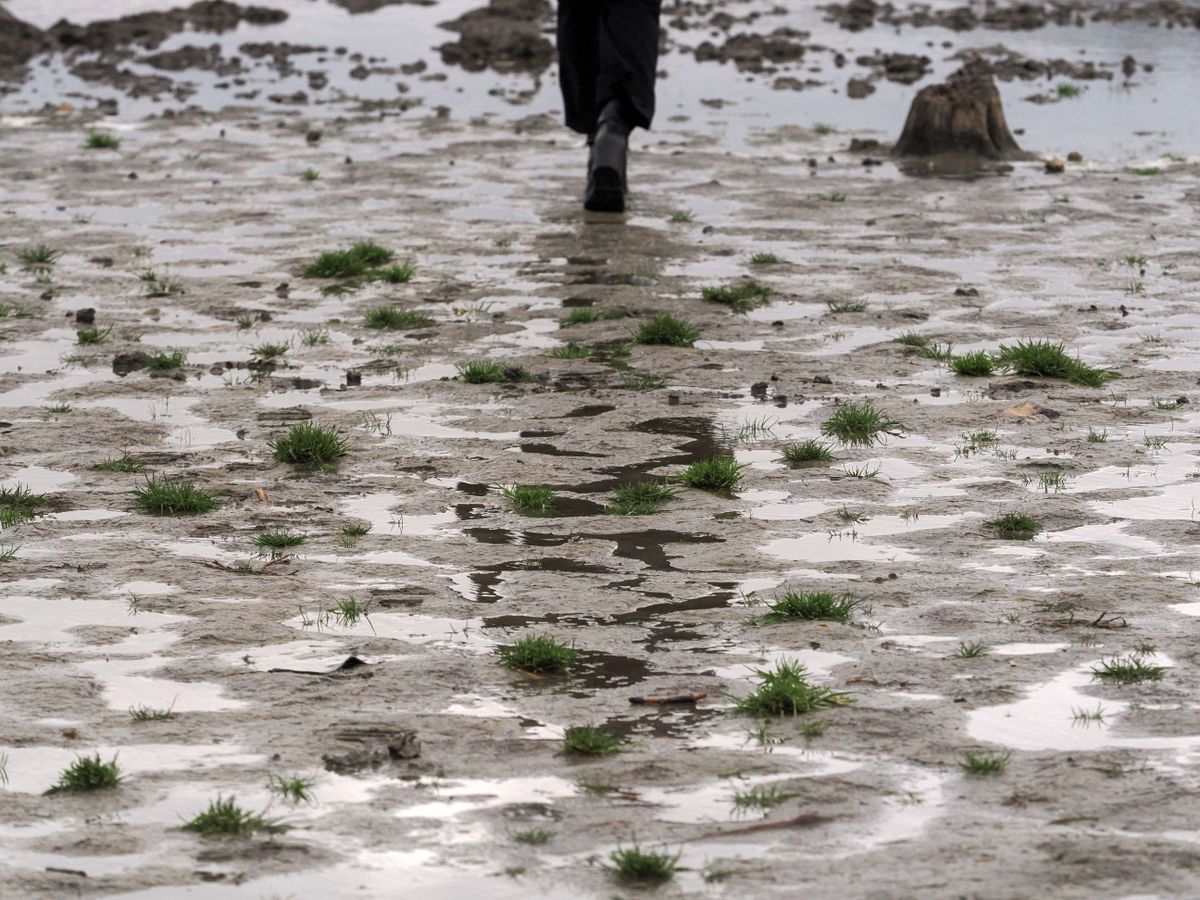 A tihanyi Belső-tó medrében sétálva az embert elfogja a keserűség