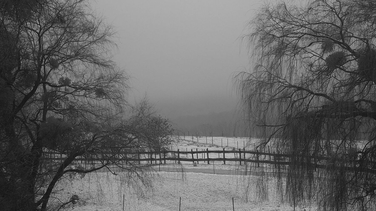 Havazás a Bakonyban – Fehér lesz a karácsony?