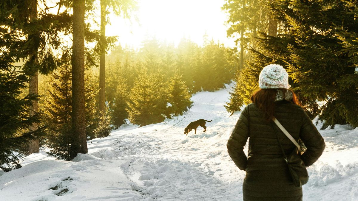 Mire figyeljünk kutyatartóként, amikor tartósan fagyosra fordul az idő?