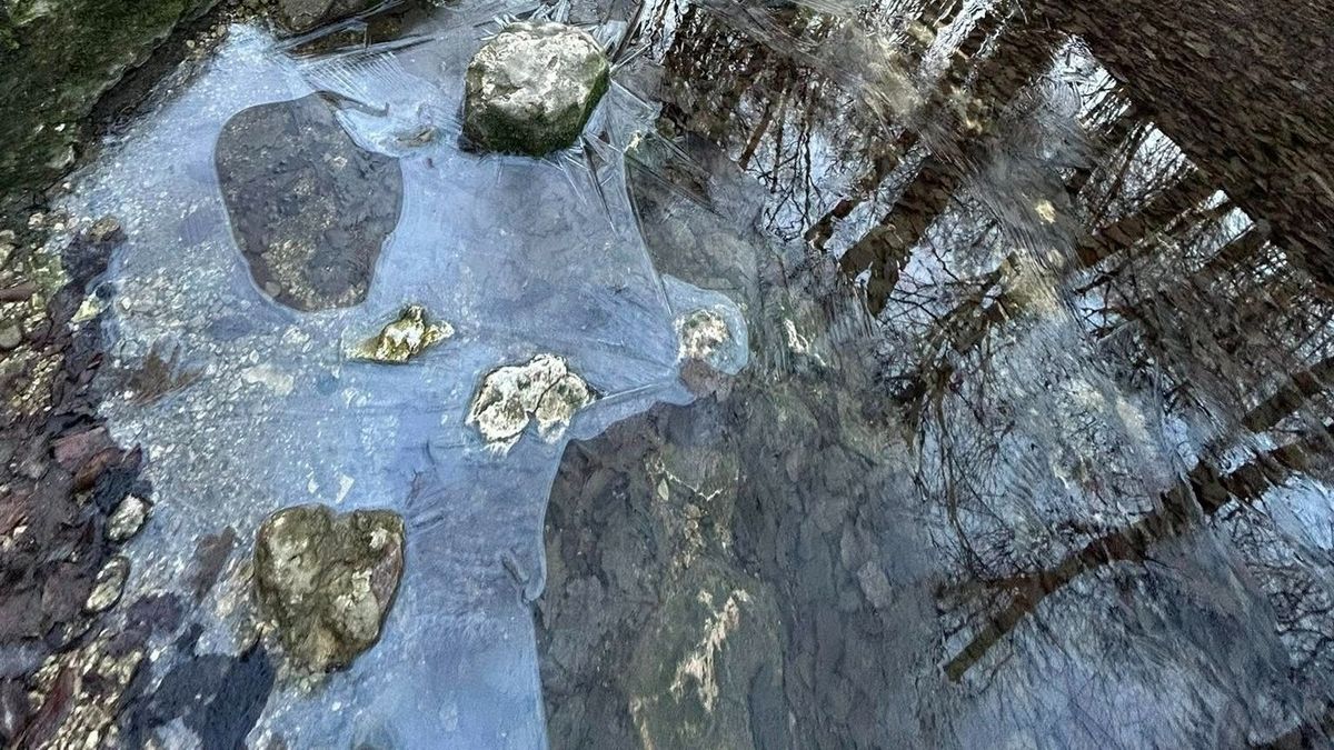 Csodás jégszilánkokat mutatunk a Bakonyból, lenyűgöző a befagyott tavak, patakok látványa (+ galéria)