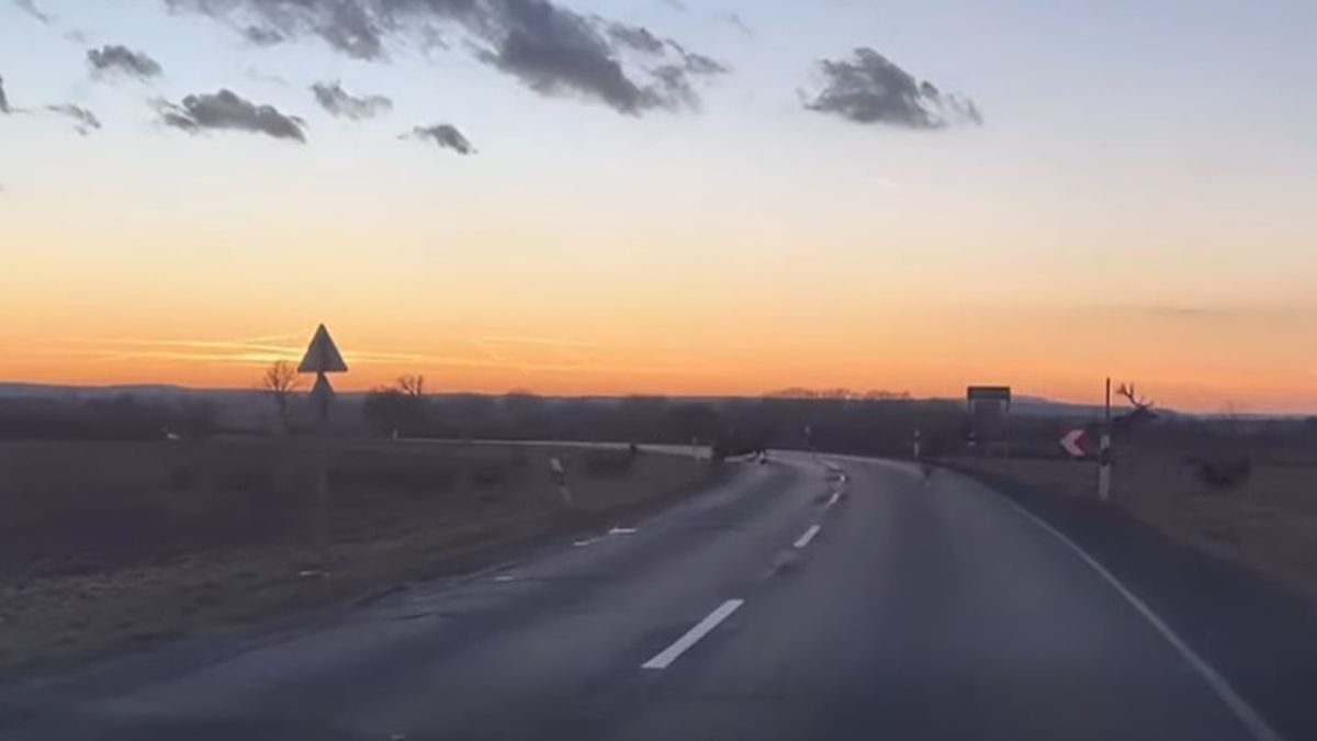 Szarvasrudli vágtatott át az úton naplementekor (videó)