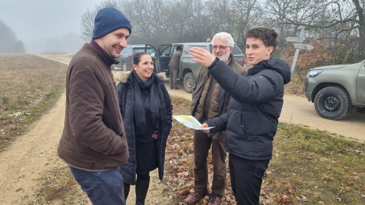 Erdészeti Tájfutó Európa-bajnokság Veszprémben