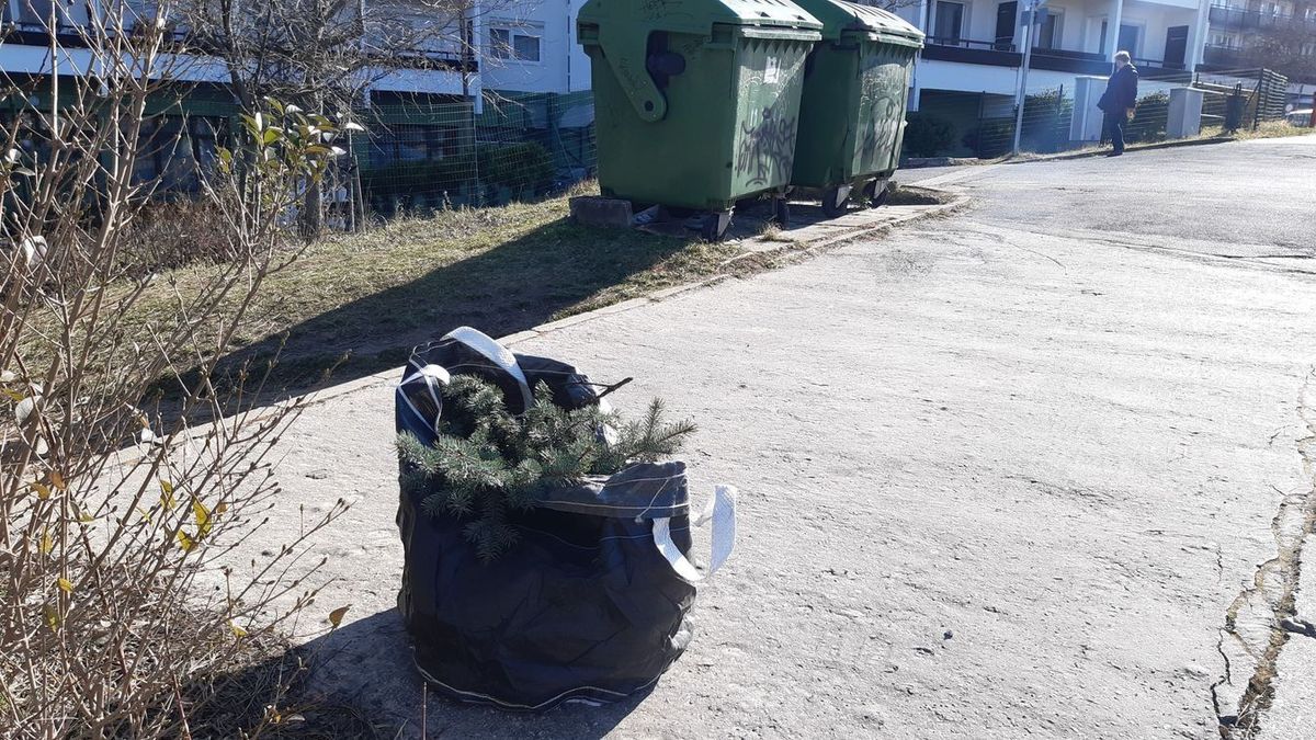 Hamar felesleges lett a karácsonyfa? Segítünk azzal, hogy megmondjuk, hova tehetik