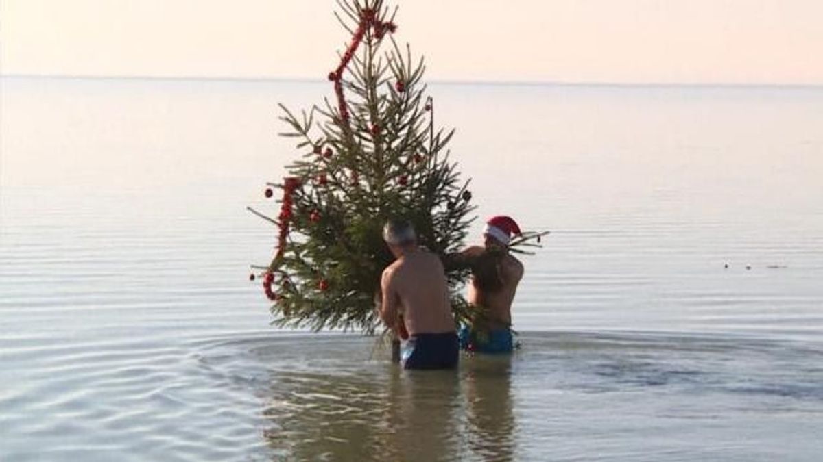 Karácsonyfa a Balatonban – folytatódik a népszerű hagyomány Szigligeten