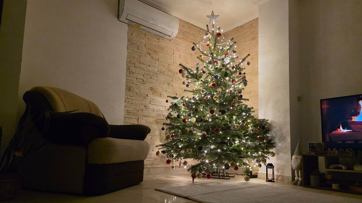 A visszafogottól a gazdagon díszítettig: íme olvasóink karácsonyfái (galéria)