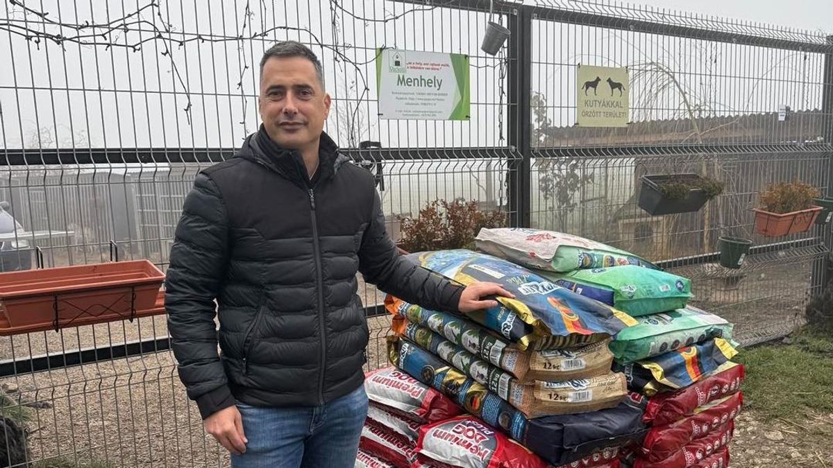 Több mint 280 menhely kap támogatást a karácsonyi időszakban