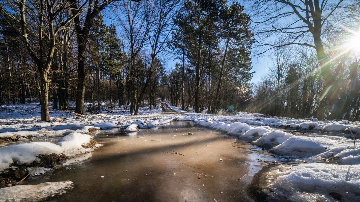 Szeles, hideg idő és hózáporok: ilyen lesz a szerda Veszprémben