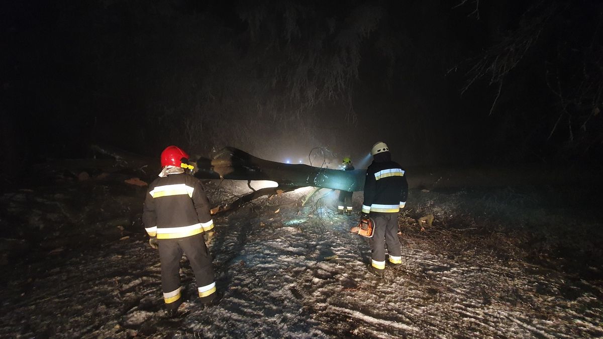 Viharos szél csavart ki fákat a Bakonyban, több helyen forgalmi akadályt okozva (+ fotók)