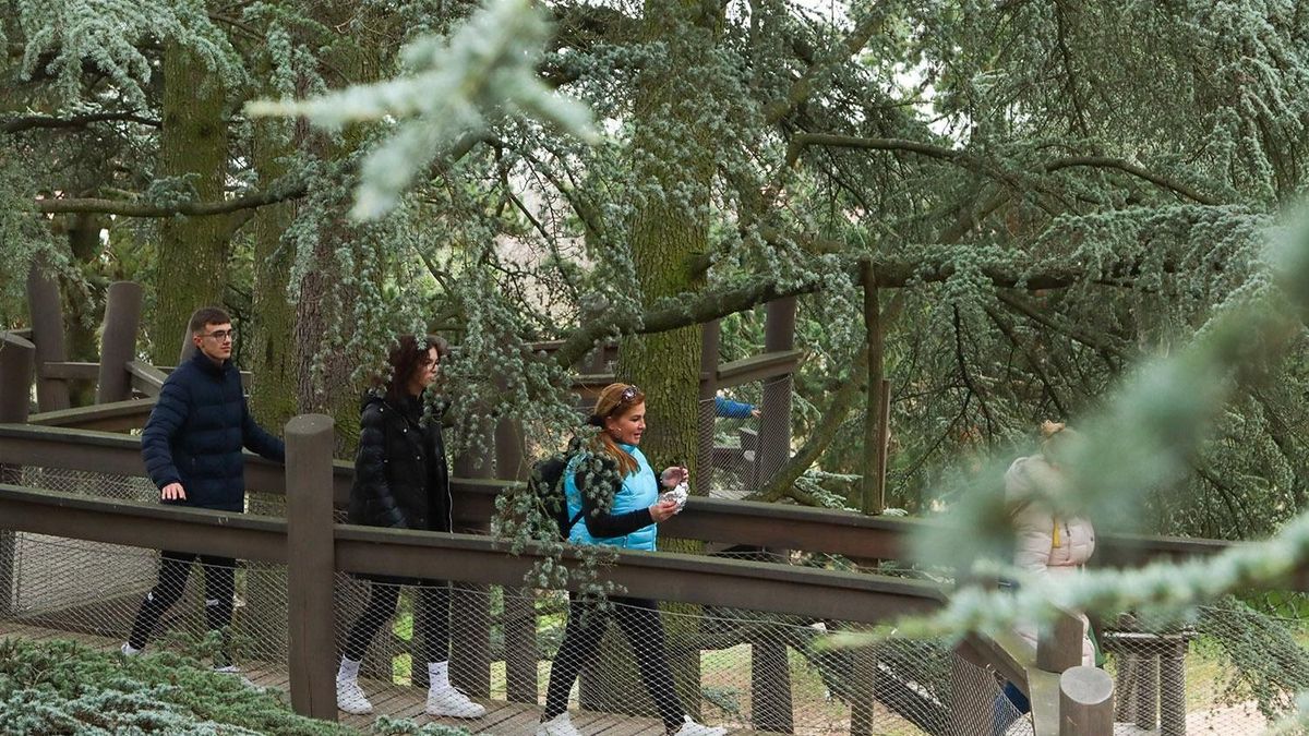 Nyílt napok a Folly Arborétumban