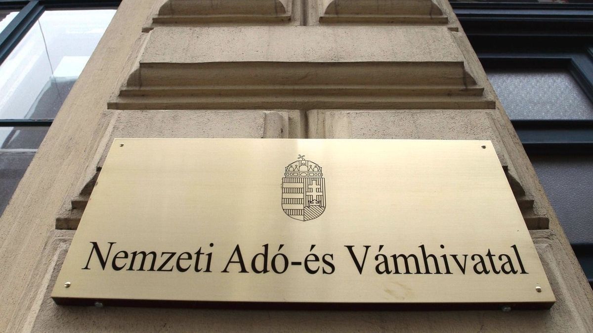 A közigazgatási szünet ideje alatt is lehet ügyeket intézni a NAV-nál