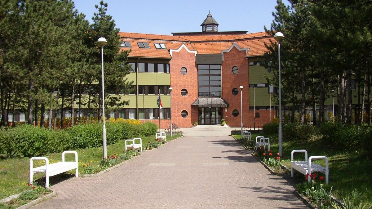 Kiváló országos eredményt ért el a Noszlopy Gáspár Gimnázium és Kollégium