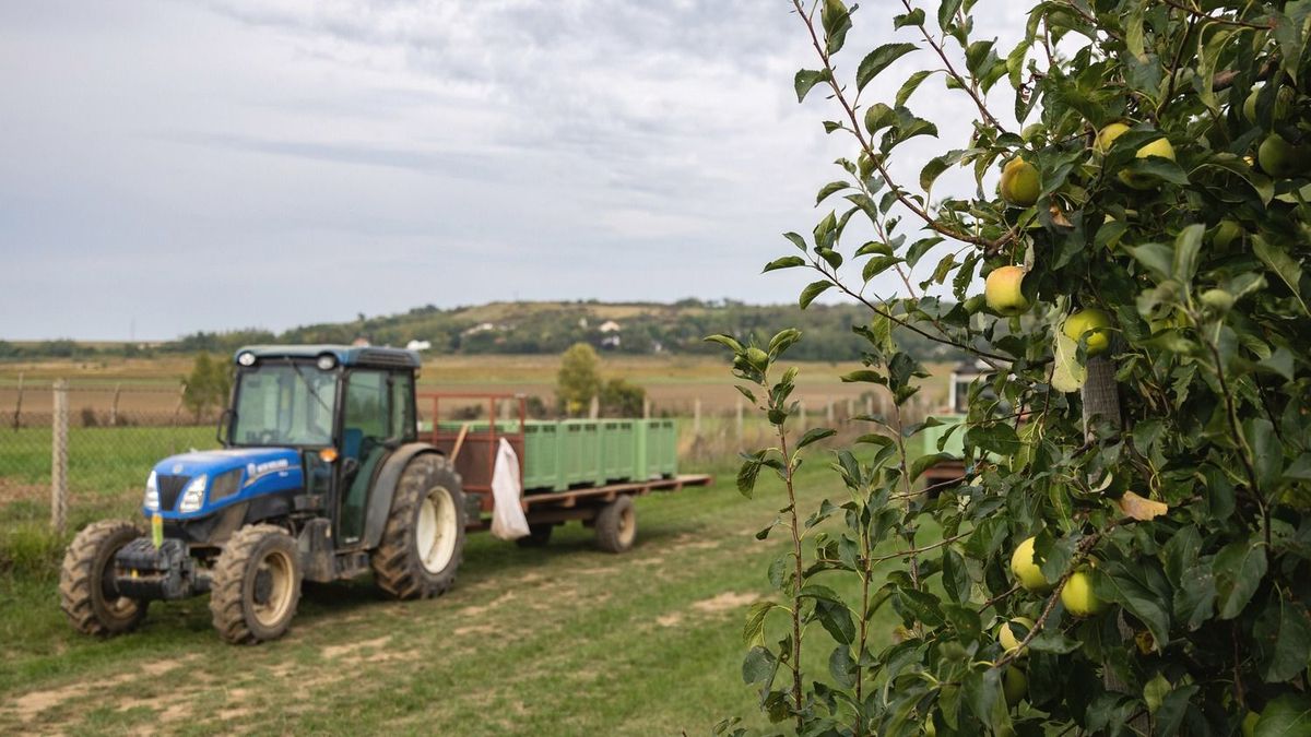 Január 1-től csökkennek a gazdák adó- és adminisztrációs terhei (videó)