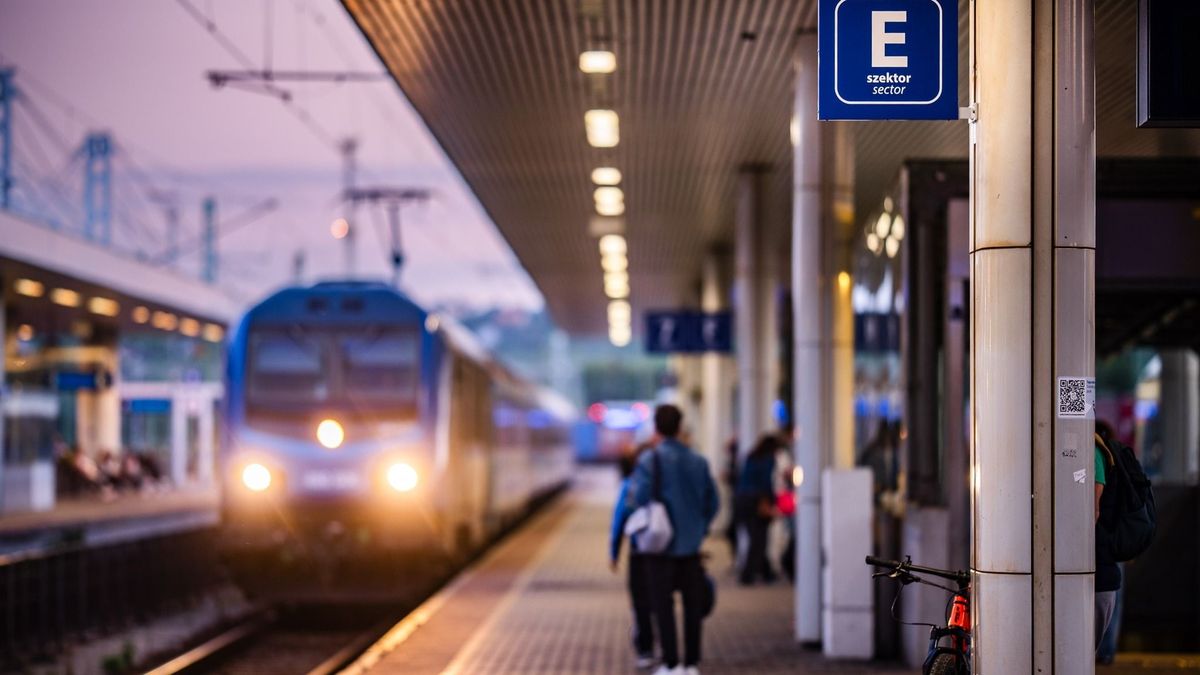 Rálőttek a buszra, téglával dobták meg a sofőrt: aggasztó méreteket öltött a közlekedési dolgozók elleni erőszak