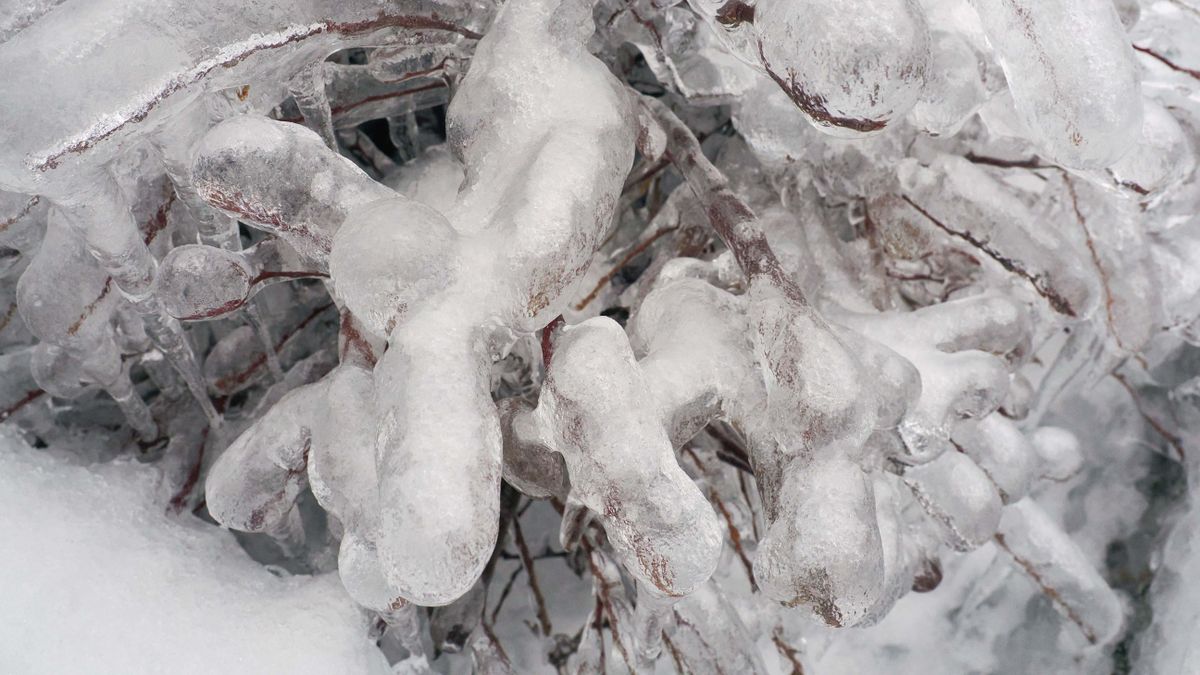Köd, csúszós utak és ónos eső: nehéz nap vár Veszprém megyére