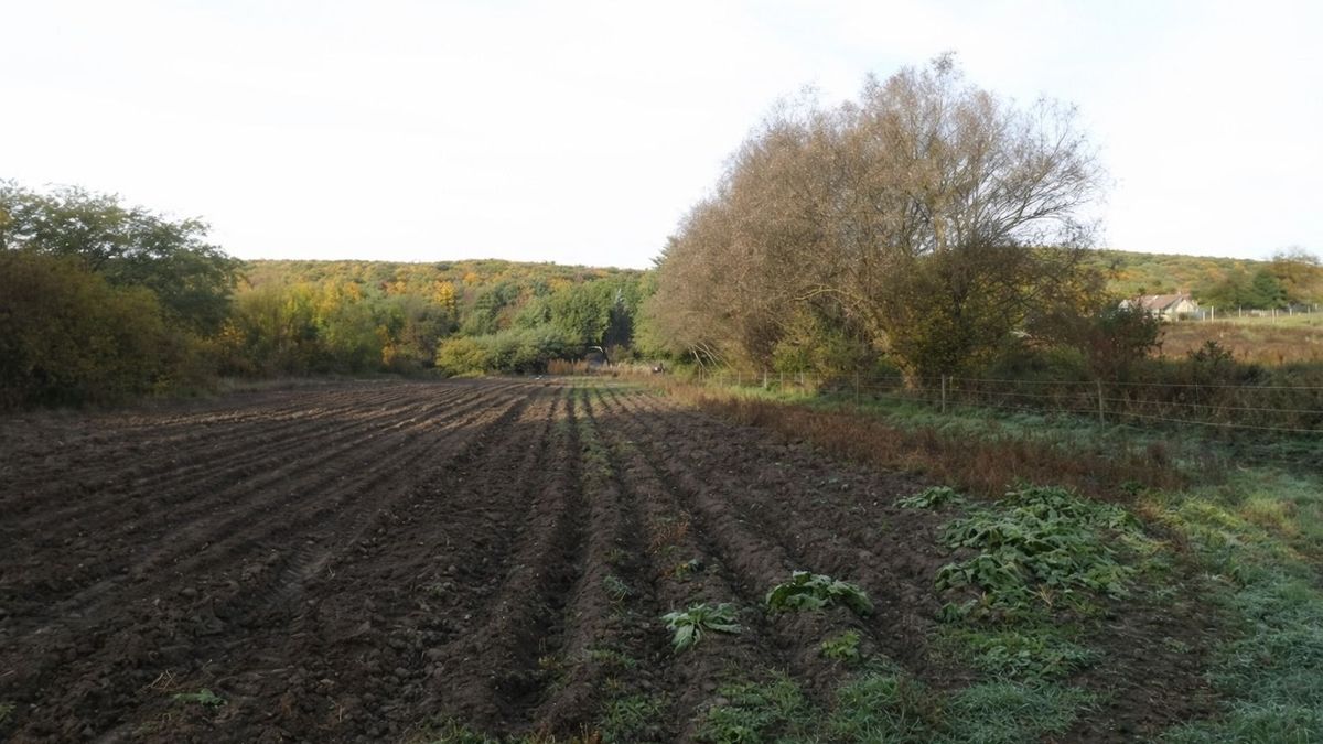 Fillérekért árvereznek egy hatalmas telket Zirc mellett, de van benne egy csavar!