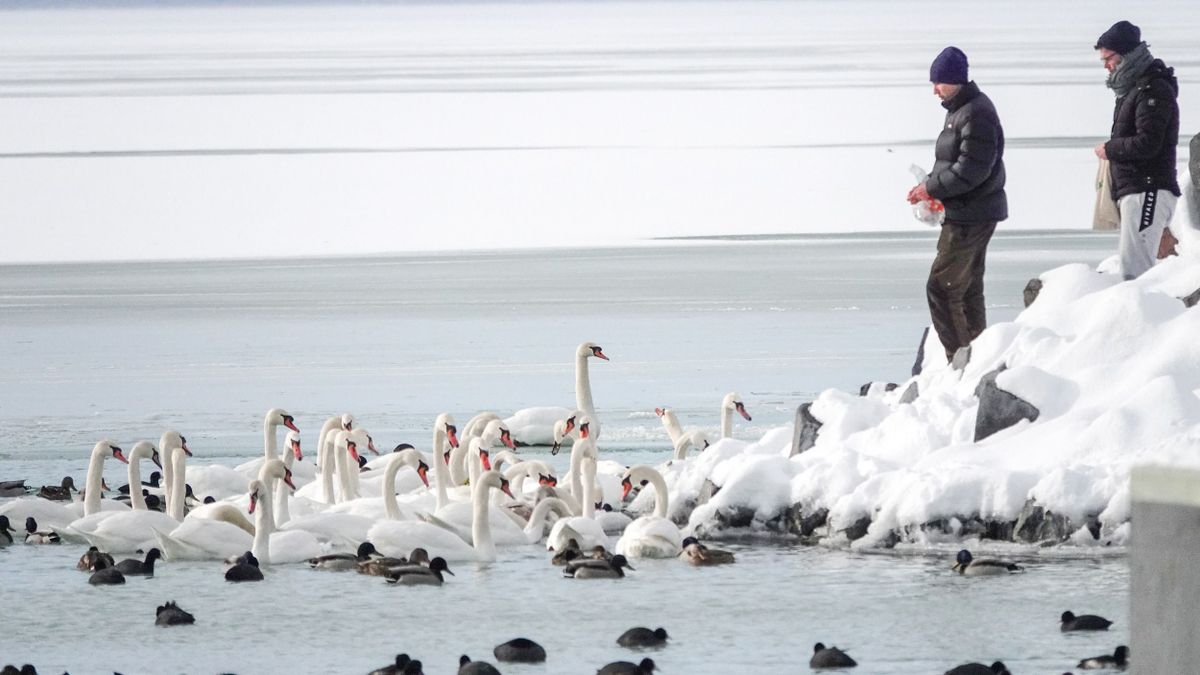 A Balaton vízszintje kedvezően változott, ám a jégréteg még nem biztonságos