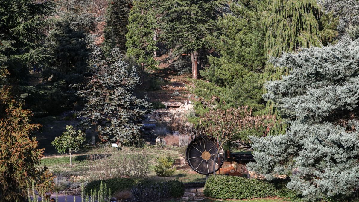 Télen is különleges élmény: nyílt napok a Folly Arborétumban (galéria + videó)