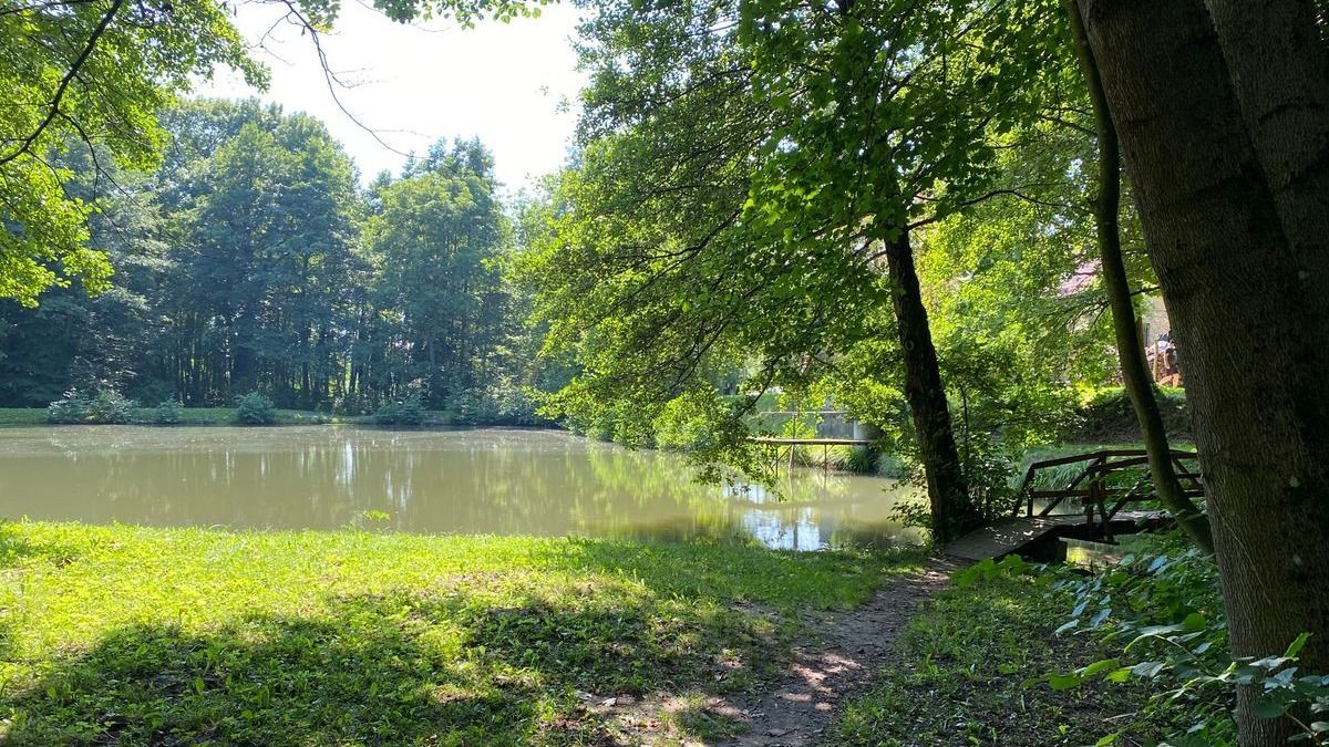 Túl fürgék voltak a böllérkéshez, ennek ellenére kipusztult a bakonyi sertésállomány