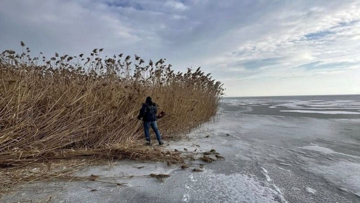 Beérett a várakozás gyümölcse, tíz év után újra arathattak!