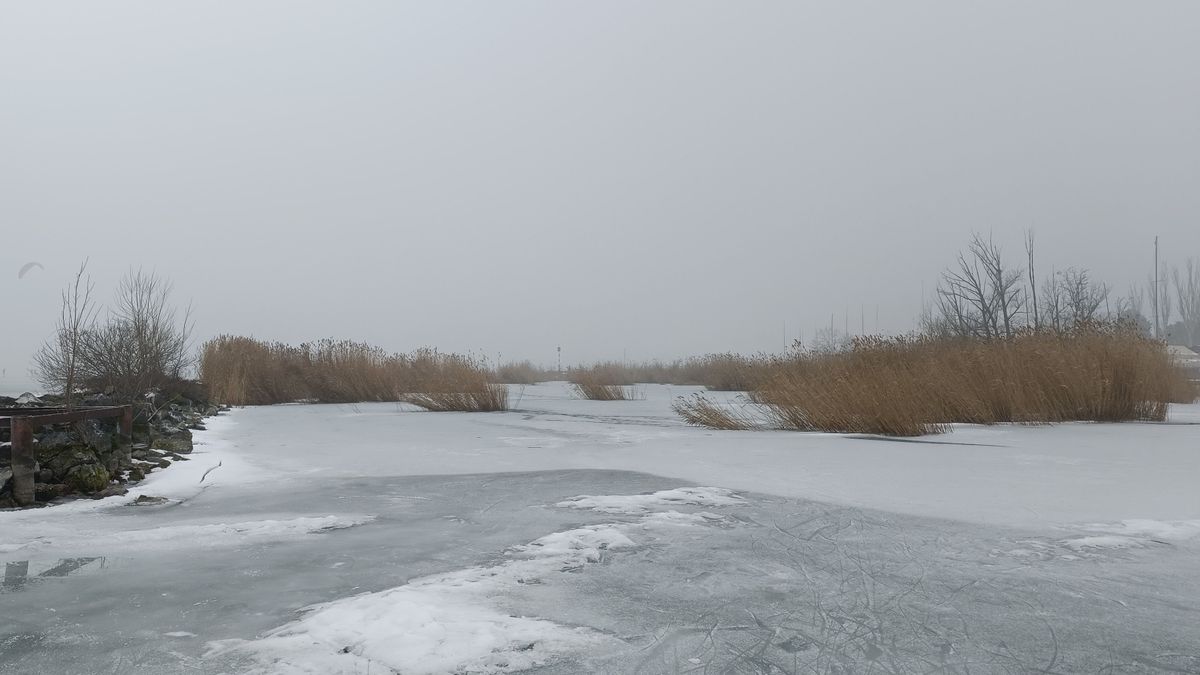 Amikor háton vitték a Napló riporterét: egy régi balatoni mesterség képei (galéria + videó)