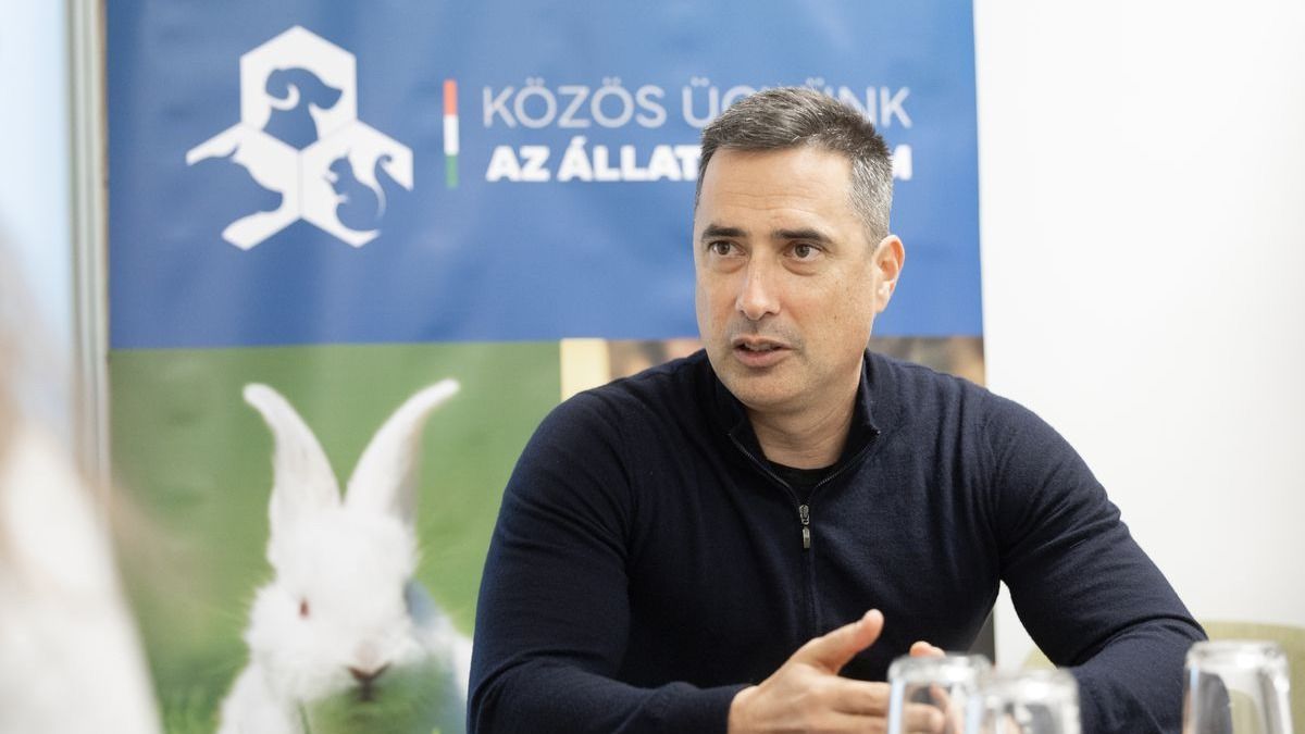 Újabb egymilliárd forinthoz juthatnak a civil állatvédő szervezetek