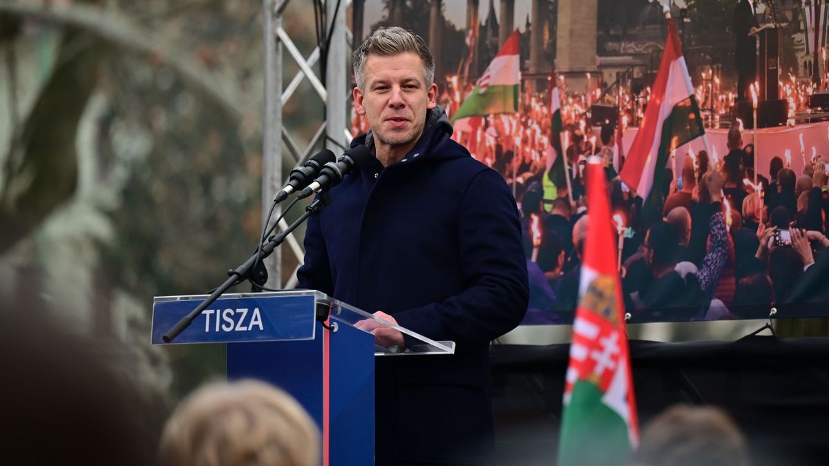 A Tisza Párt jelöltjei semmit nem tehetnek Magyar Pétr engedélye nélkül