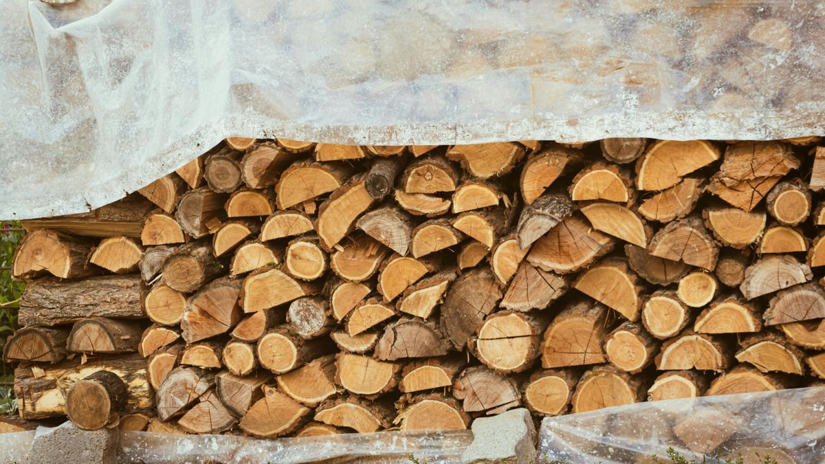 Ingyenes tűzifa: hamarosan kiszállítják a rászorulókhoz