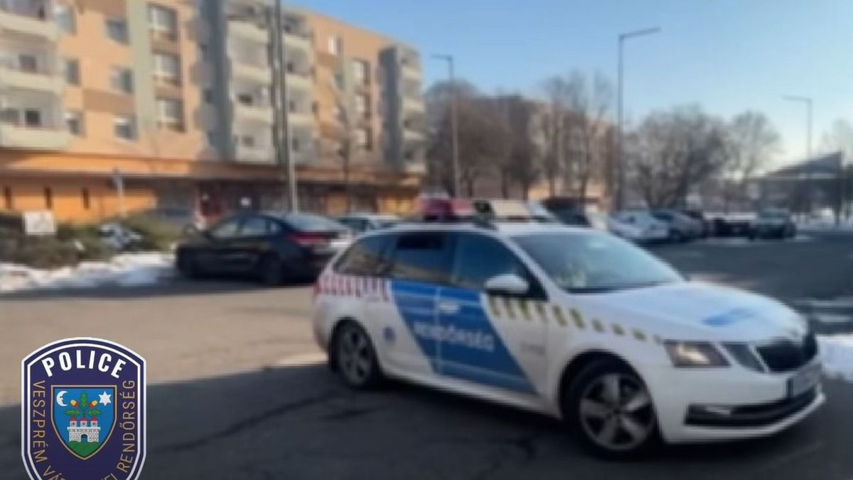 Kikötötte és magára hagyta kutyáját a hidegben (videó)