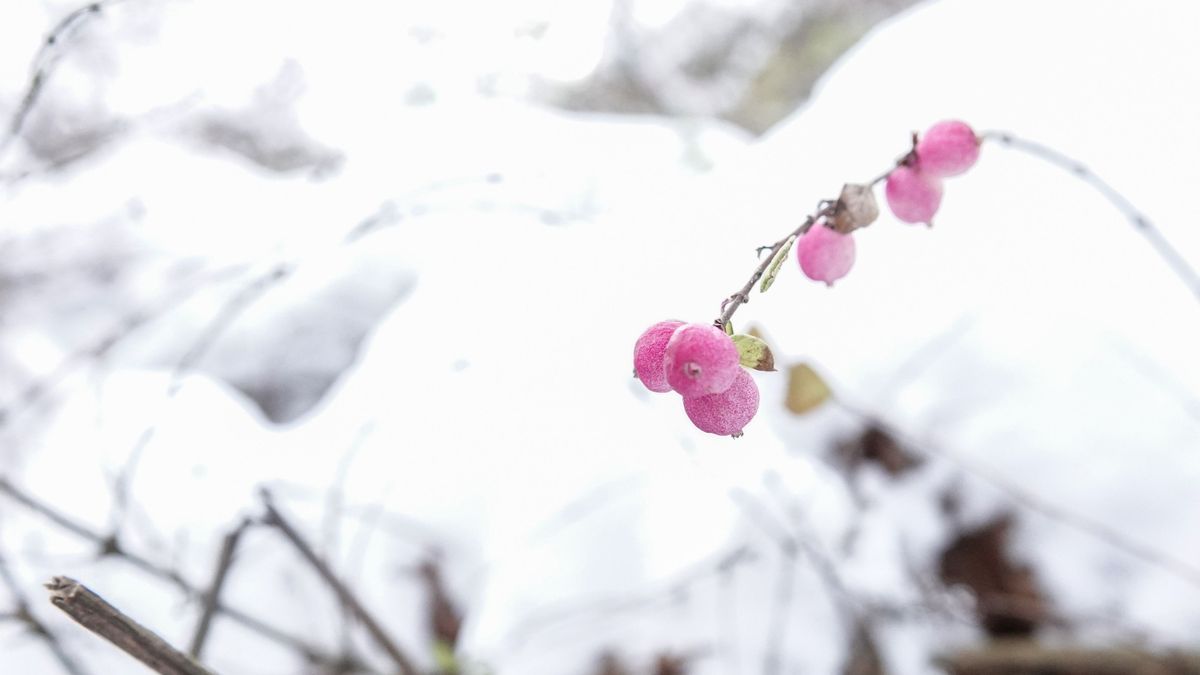 Dermesztő hideggel és köddel indul a mai nap
