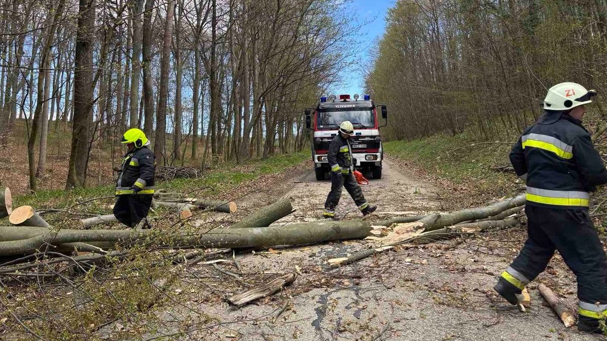 Tűzoltók az ötödik dimenzióban a Bakonyban – Interjú a zirci tűzoltóparancsnokkal (+ podcast)