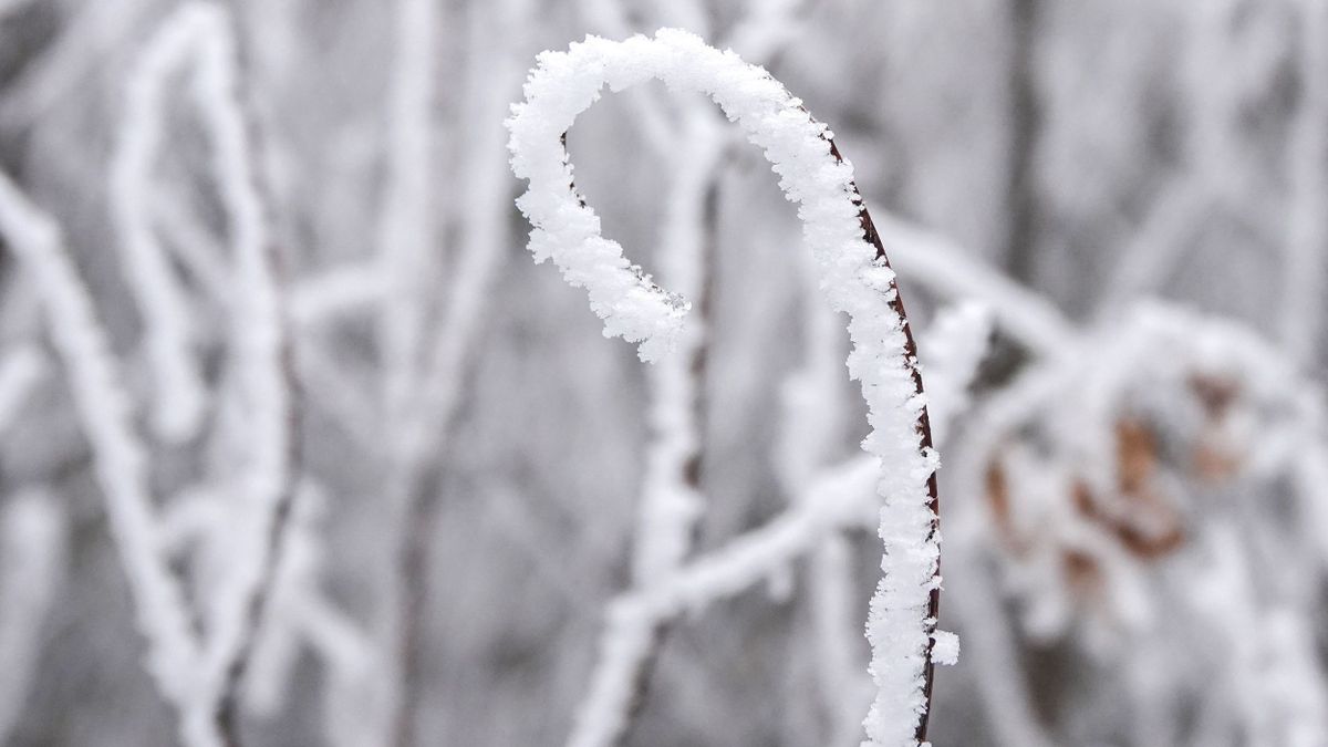 Zúzmarás köd és kemény mínuszok jönnek ma