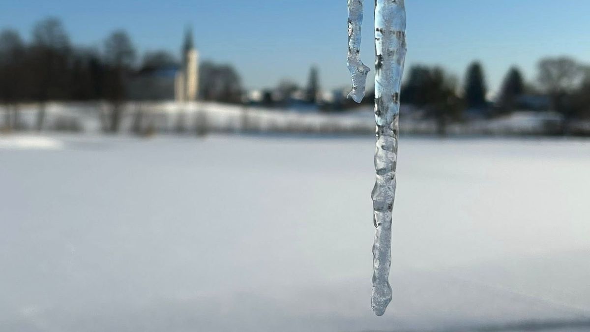 A befagyott pálos tó maga a csoda – Kabátot kapott a hód, takarót a krokodilok (képgaléria) 