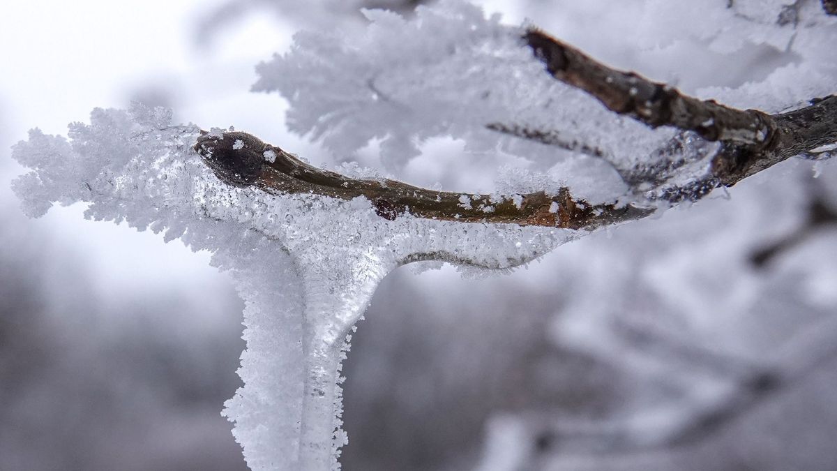 Pénteki időjárás: enyhül a hideg, némi csapadékra is számíthatunk