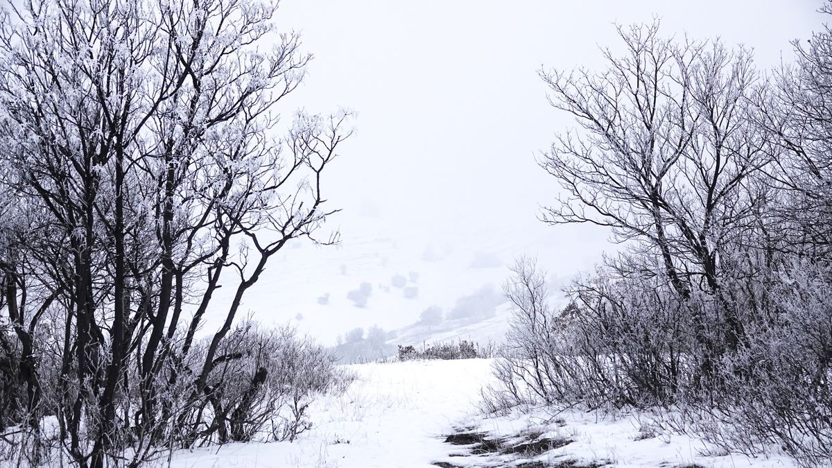 Szürke nap körvonalazódik a megyében