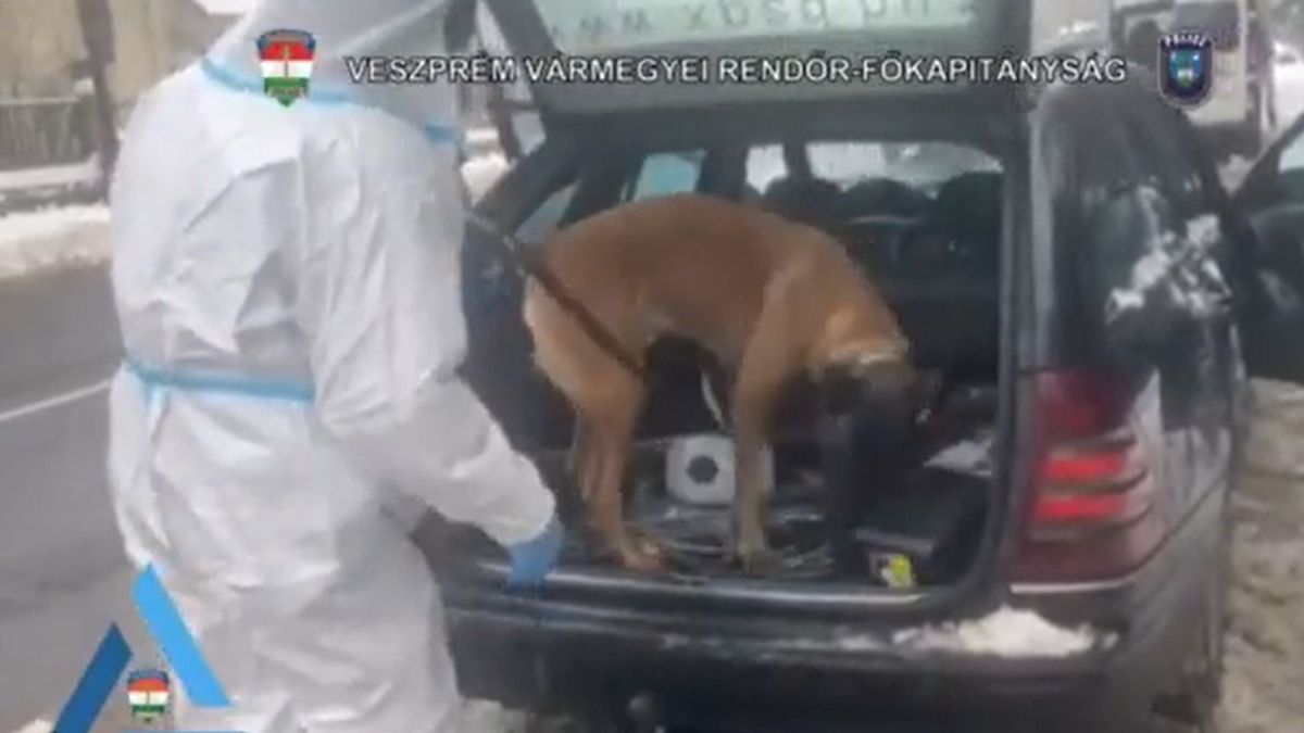 Közúti ellenőrzésnek indult, drogfogás lett belőle (videó)