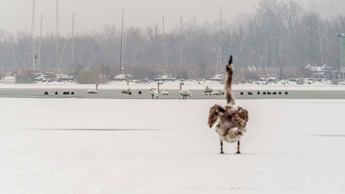 Havazással indul, ónos esővel folytatódik a keddi időjárás