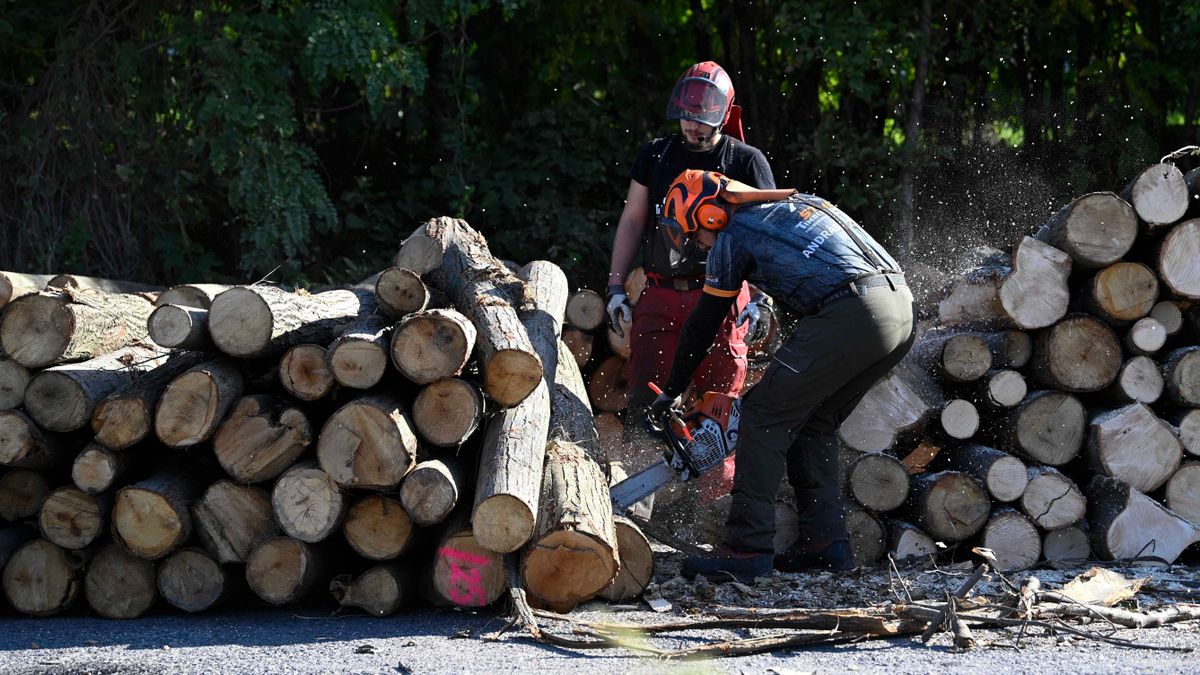 Orbán Viktor: senki sem marad tűzifa nélkül. Vigyázzunk egymásra! (videó)
