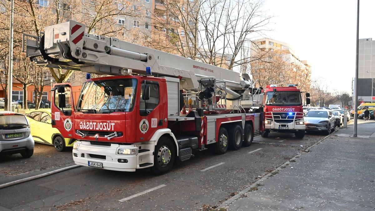 Rengeteg tűzoltói beavatkozásra volt szükség szilveszterkor