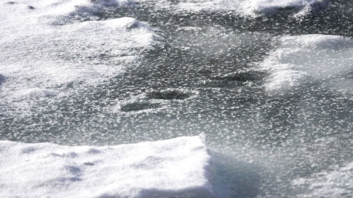 Ónos eső és csúszós utak nehezítik meg a keddi napot (+galéria, videó)