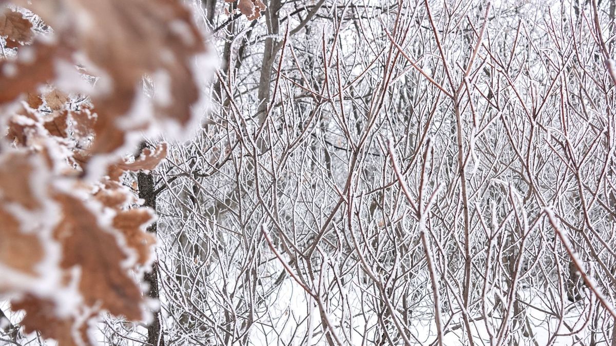 Télies fordulat: havazás válthatja az esőt vasárnap