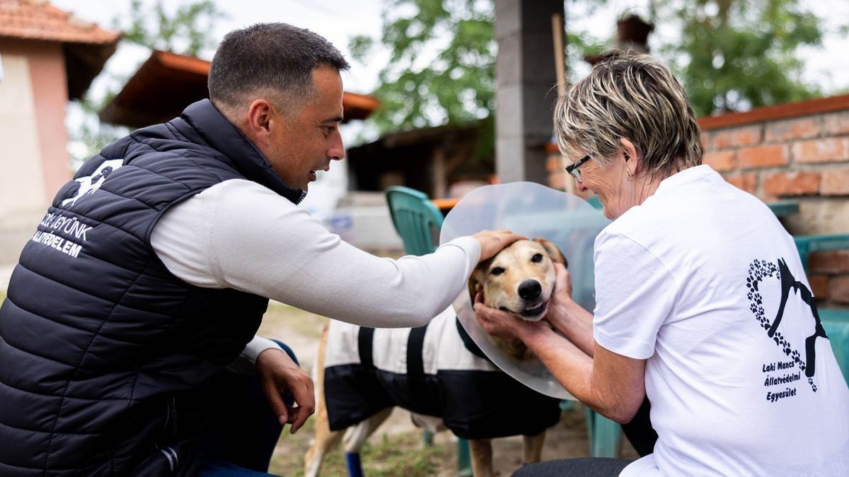 Igazságot szolgáltattak Rozinak, megszületett az ítélet az állatkínzó ügyében