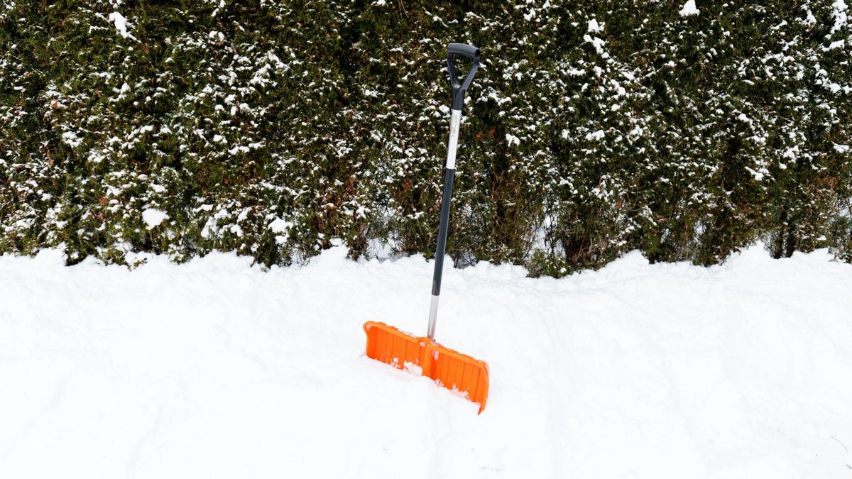 A nagyobb áruházakban már most hiánycikk a hólapát?