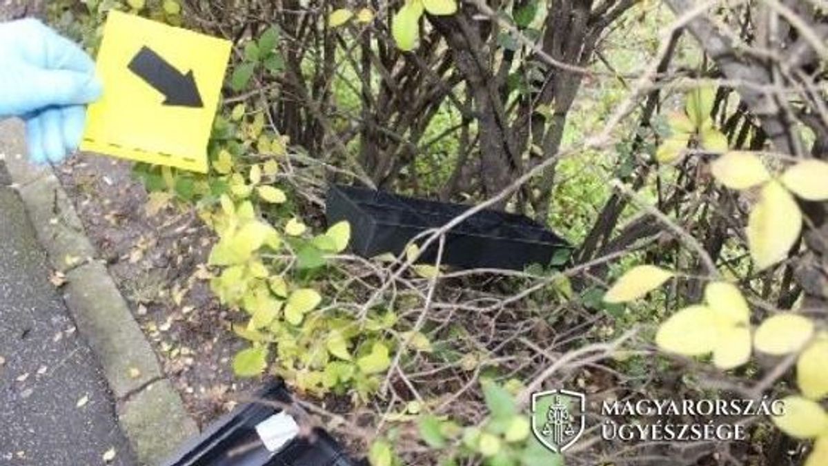 Kocsikat tört fel, ingatlanokba és üzletekbe tört be pénz reményében