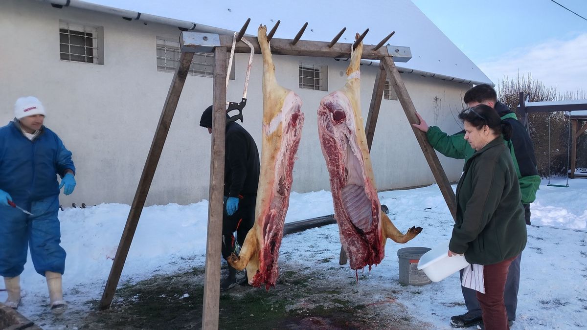 Évindító disznóölés Ajkarendeken tizennyolcadszor