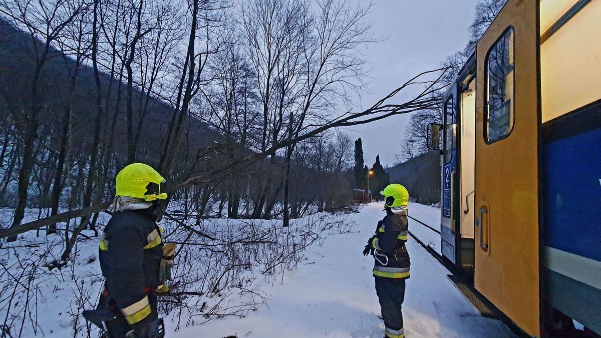 Vonattal mentek a tűzoltók a Bakonyban menteni (fotók + videó)