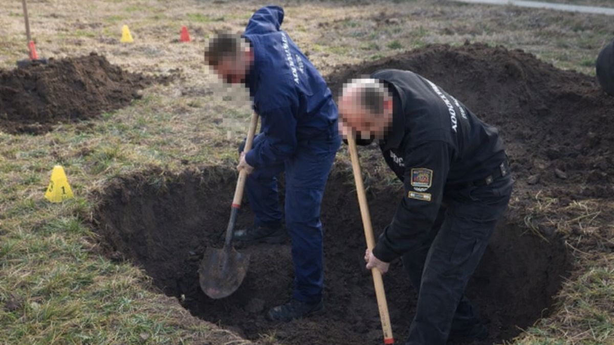 Mesélt a nádas a rendőröknek: vérnyomok után találták meg az eltűnt fiú holttestét