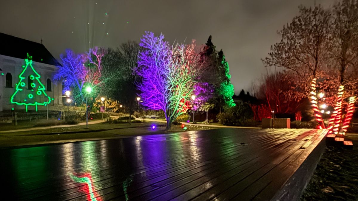 Fotózd le Veszprém egyik legszebb arcát: pályázatot hirdet a VKSZ a Fények völgyében