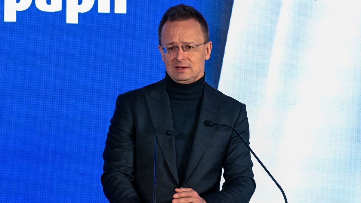 Norvégiából hazahozott profitból épít új gyárat Dunaföldváron a Vajda-Papír