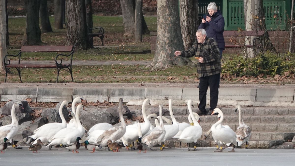 Reggel még eső, délután meglepetés – Ilyen lesz a mai időjárás Veszprémben (képek + videó)